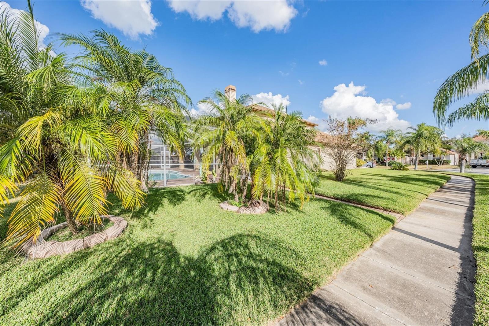 10037 OASIS PALM DR, TAMPA, FL, 33615