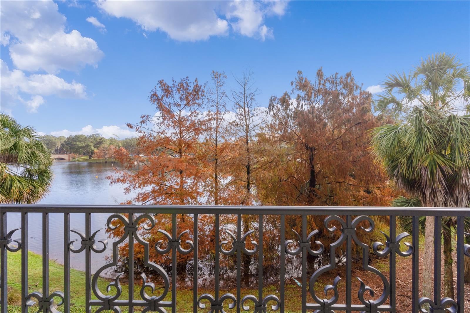 1245 AVENIDA DE LAS CASAS, THE VILLAGES, FL, 32159