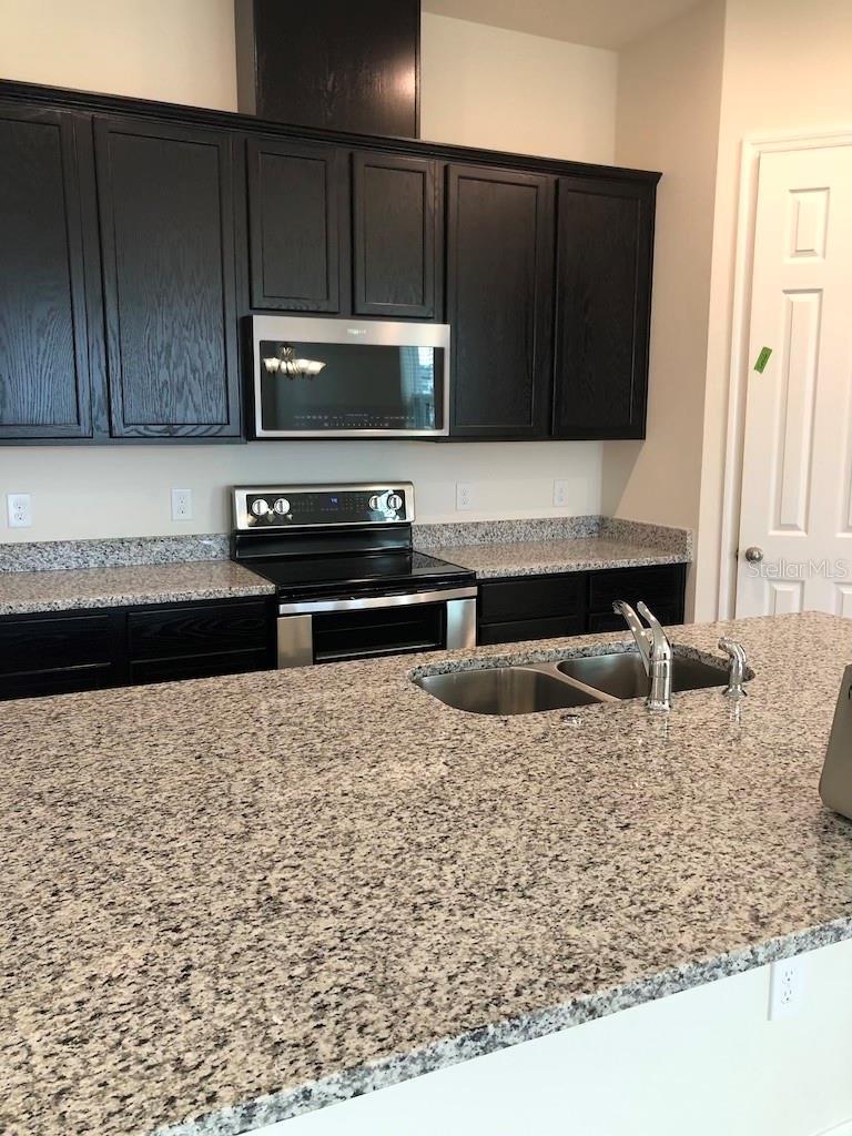 15084 STUTTGART ALY, WINTER GARDEN, FL, 34787
