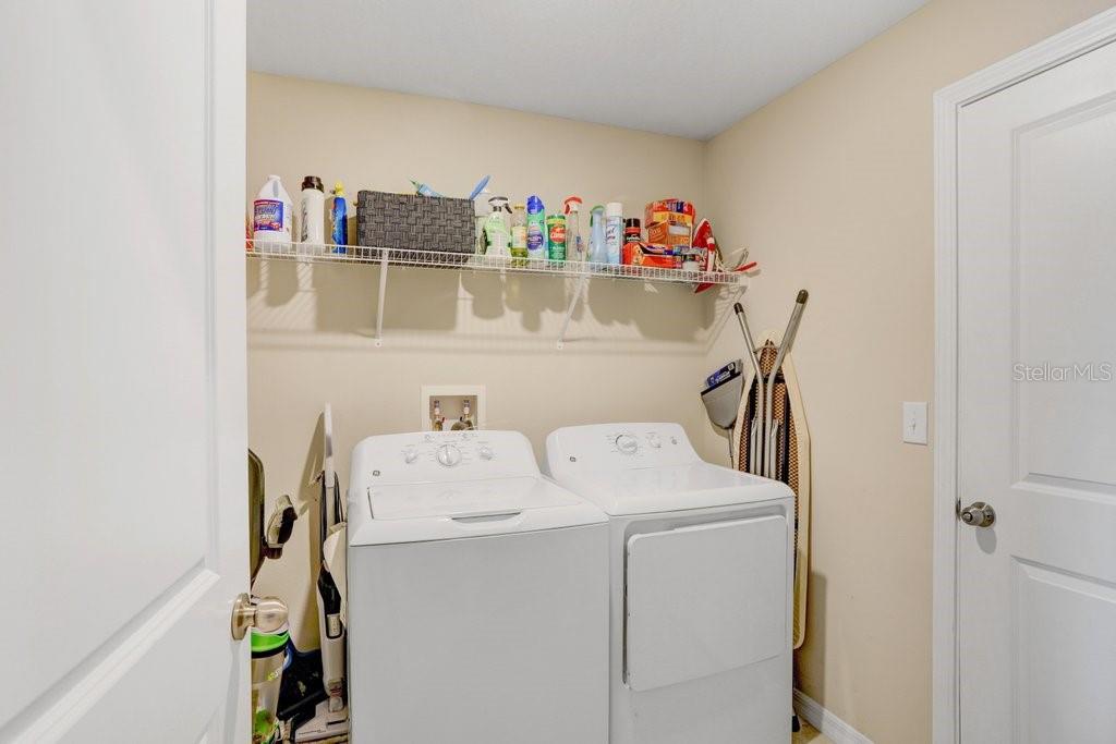13625 WILD GINGER ST, RIVERVIEW, FL, 33579