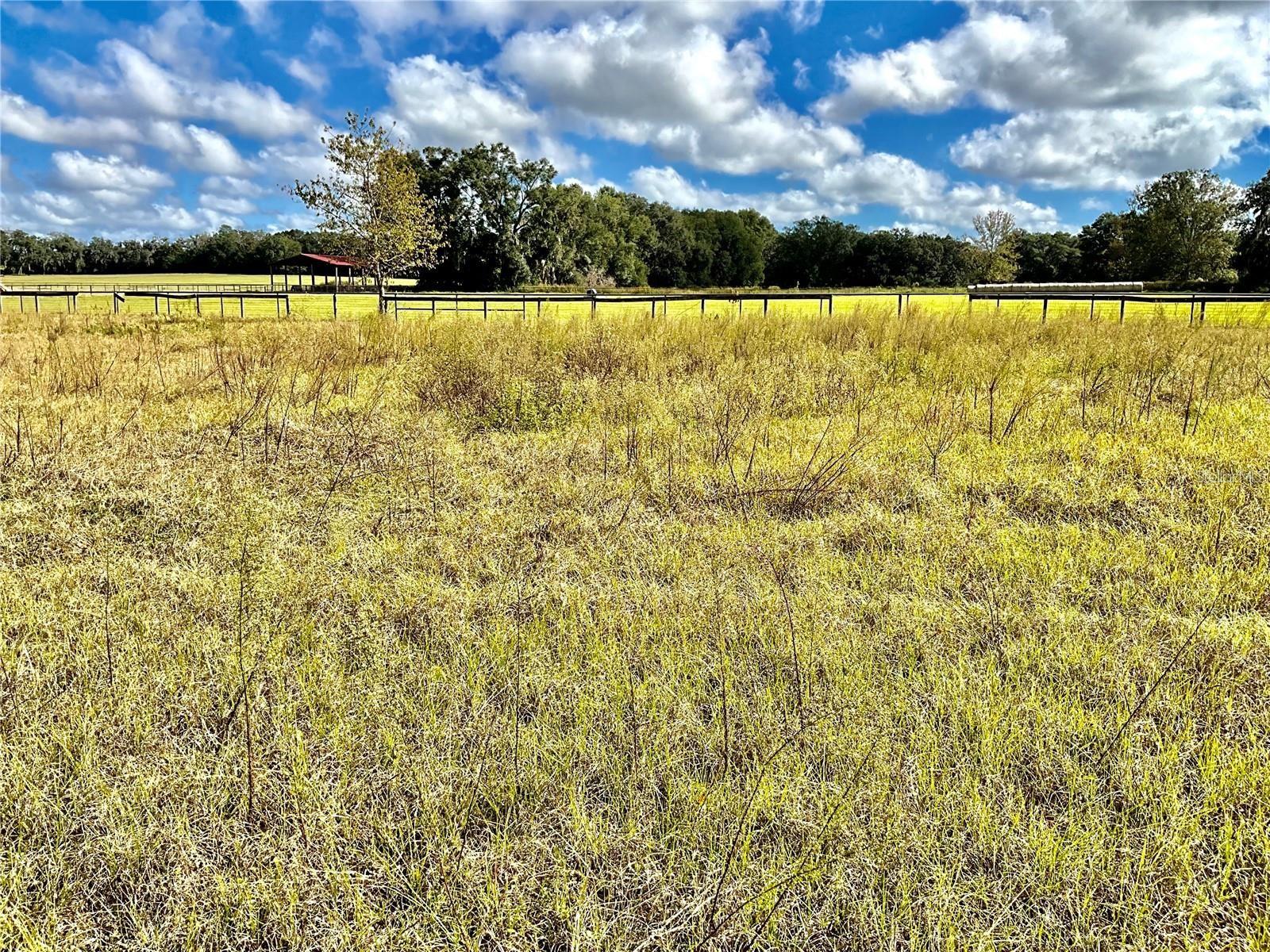 00 JACKSONVILLE RD, OCALA, FL, 34479