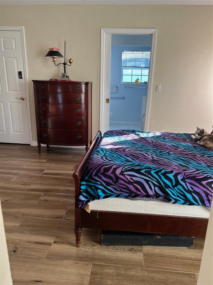 207 FAIRGREEN AVE, NEW SMYRNA BEACH, FL, 32168