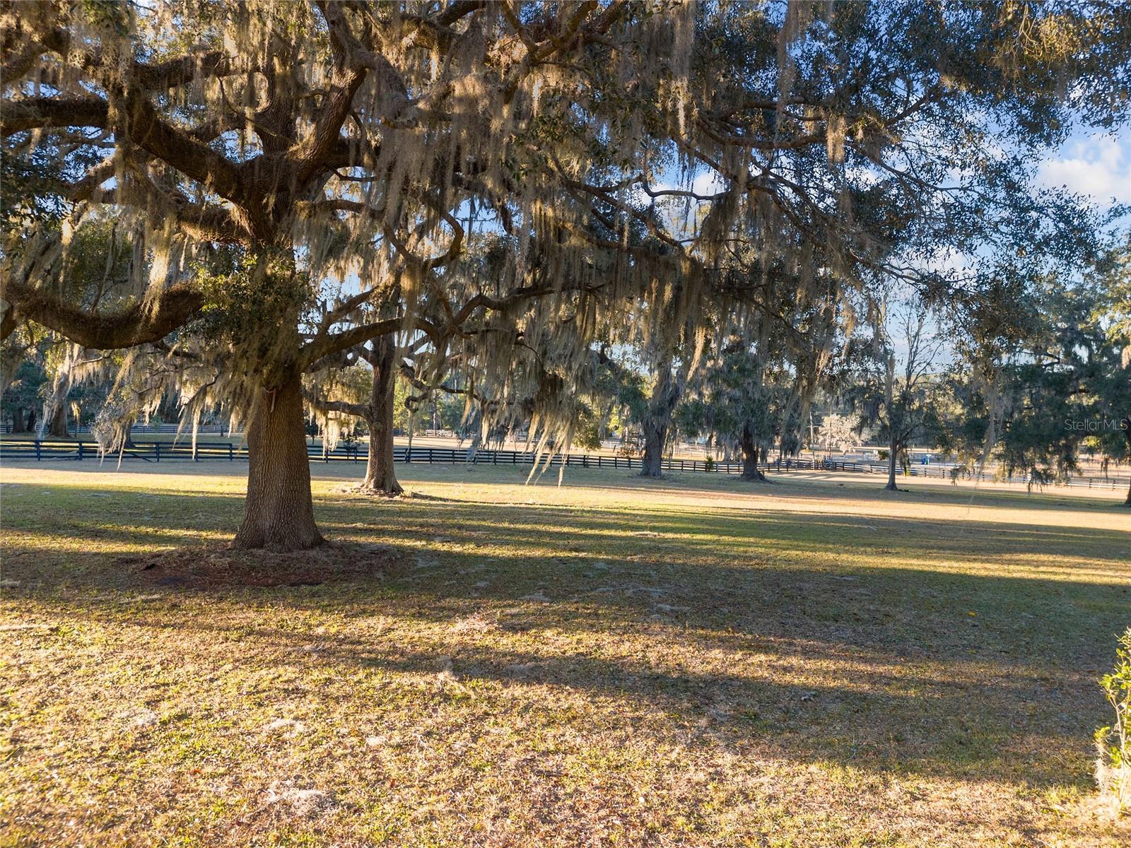 12903 NW 112TH AVE, ALACHUA, FL, 32615