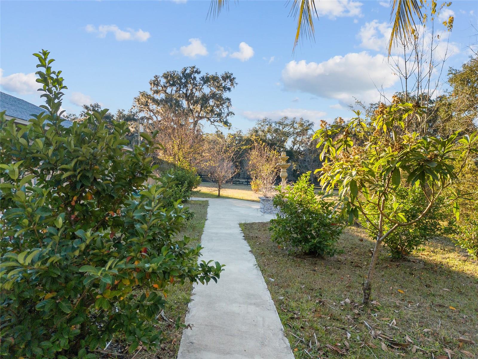 12903 NW 112TH AVE, ALACHUA, FL, 32615