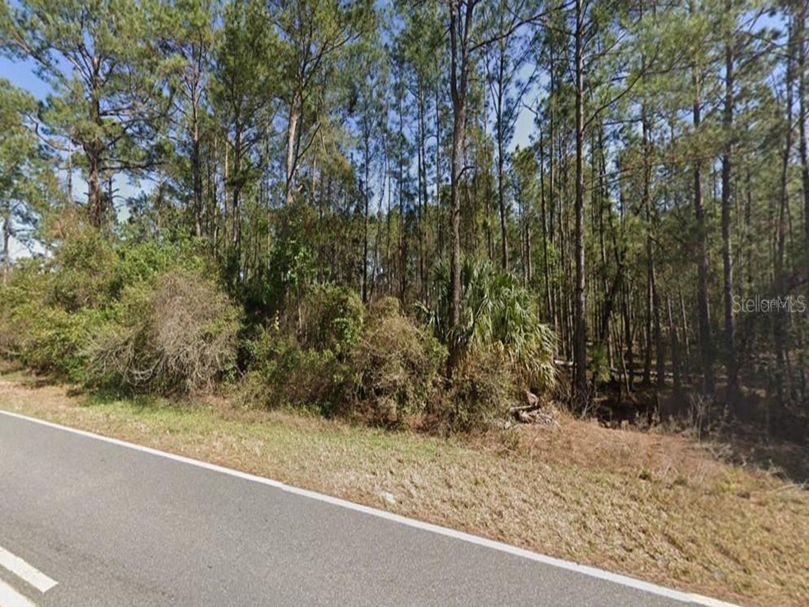 ROYAL TRAILS RD, EUSTIS, FL, 32736