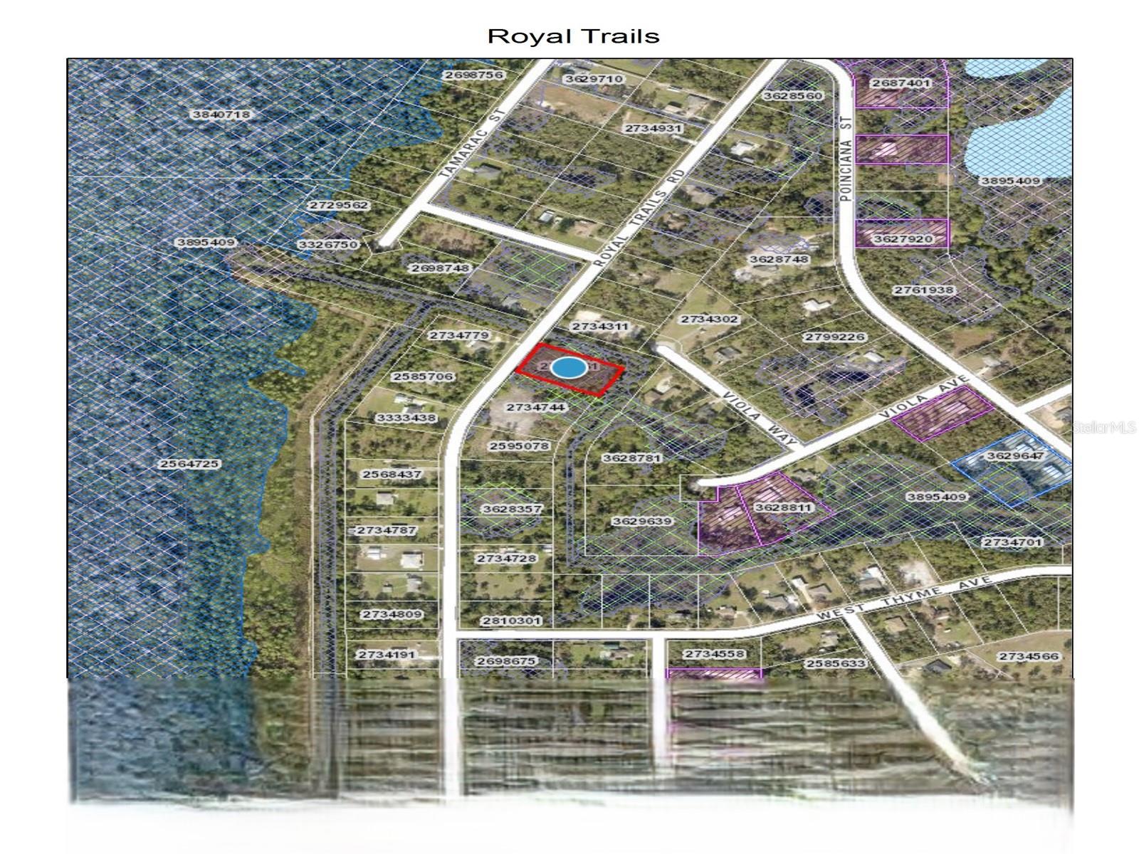 ROYAL TRAILS RD, EUSTIS, FL, 32736