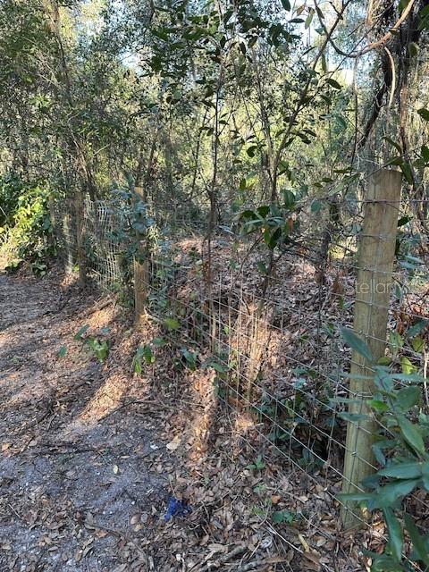 1918 MOUNTAIN LAKE CUTOFF RD, LAKE WALES, FL, 33859
