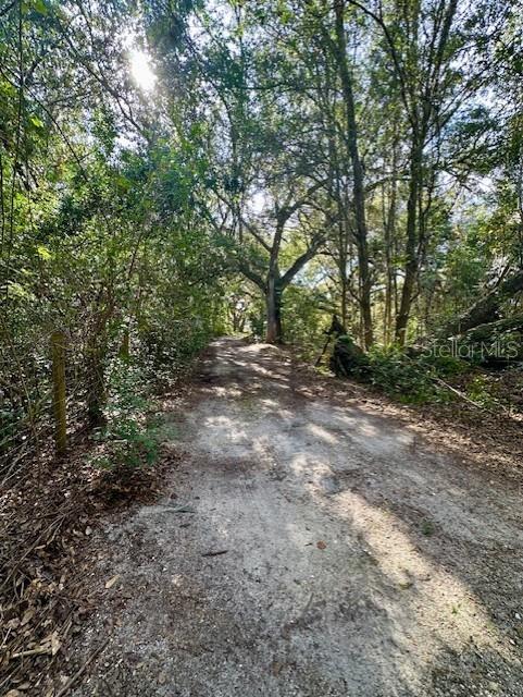 1918 MOUNTAIN LAKE CUTOFF RD, LAKE WALES, FL, 33859