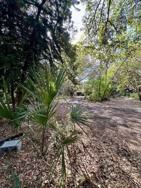 1918 MOUNTAIN LAKE CUTOFF RD, LAKE WALES, FL, 33859