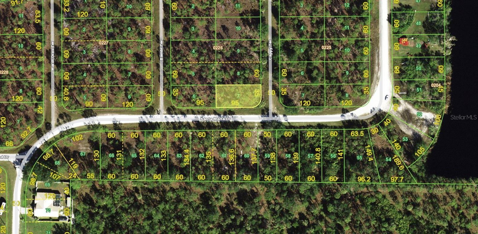 13365 CAPPY TER, PUNTA GORDA, FL, 33955