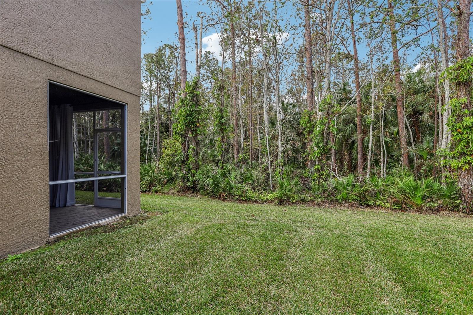 18860 DUQUESNE DR, TAMPA, FL, 33647