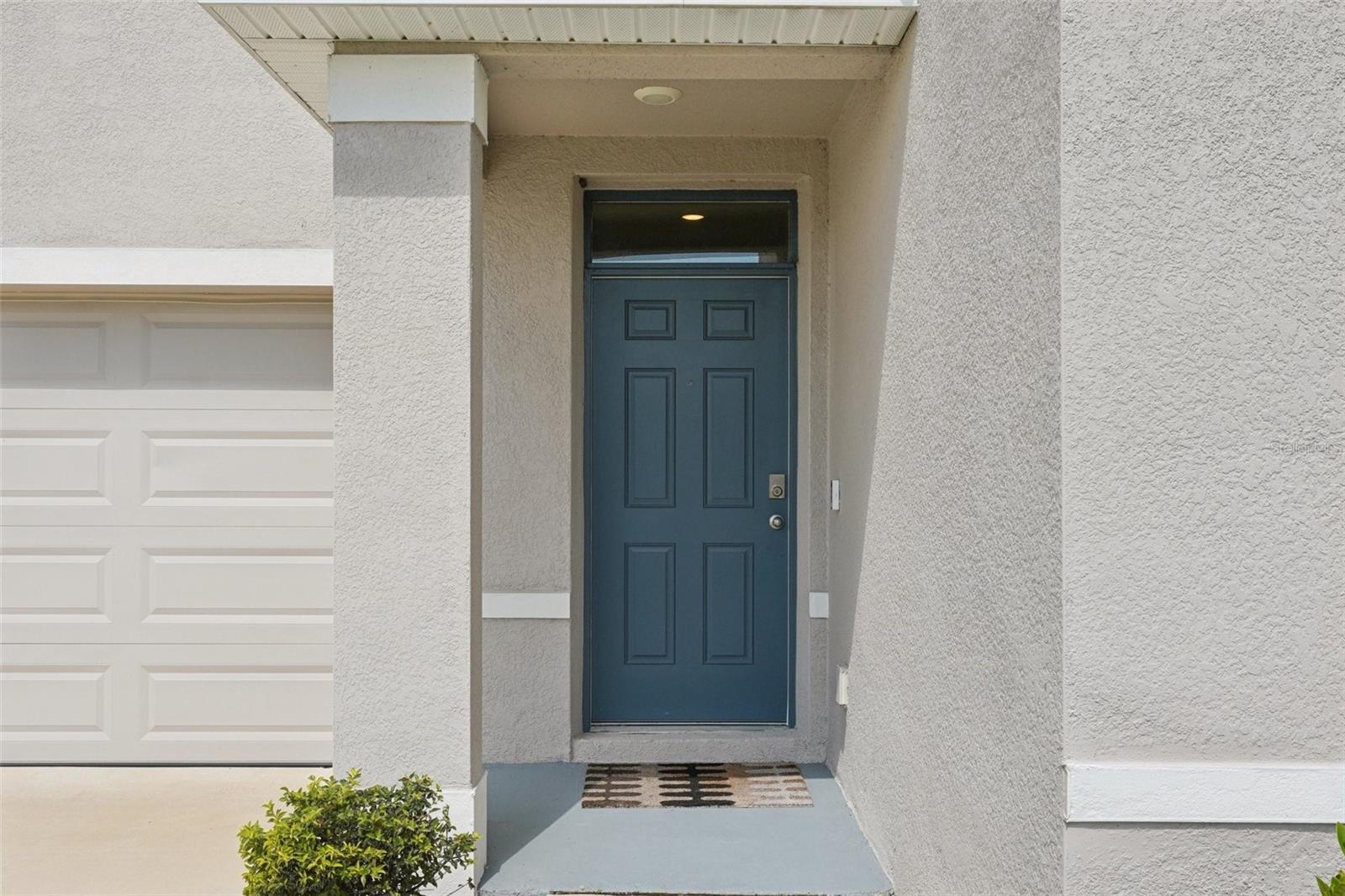 8379 ENDER HILLS DR, WESLEY CHAPEL, FL, 33545