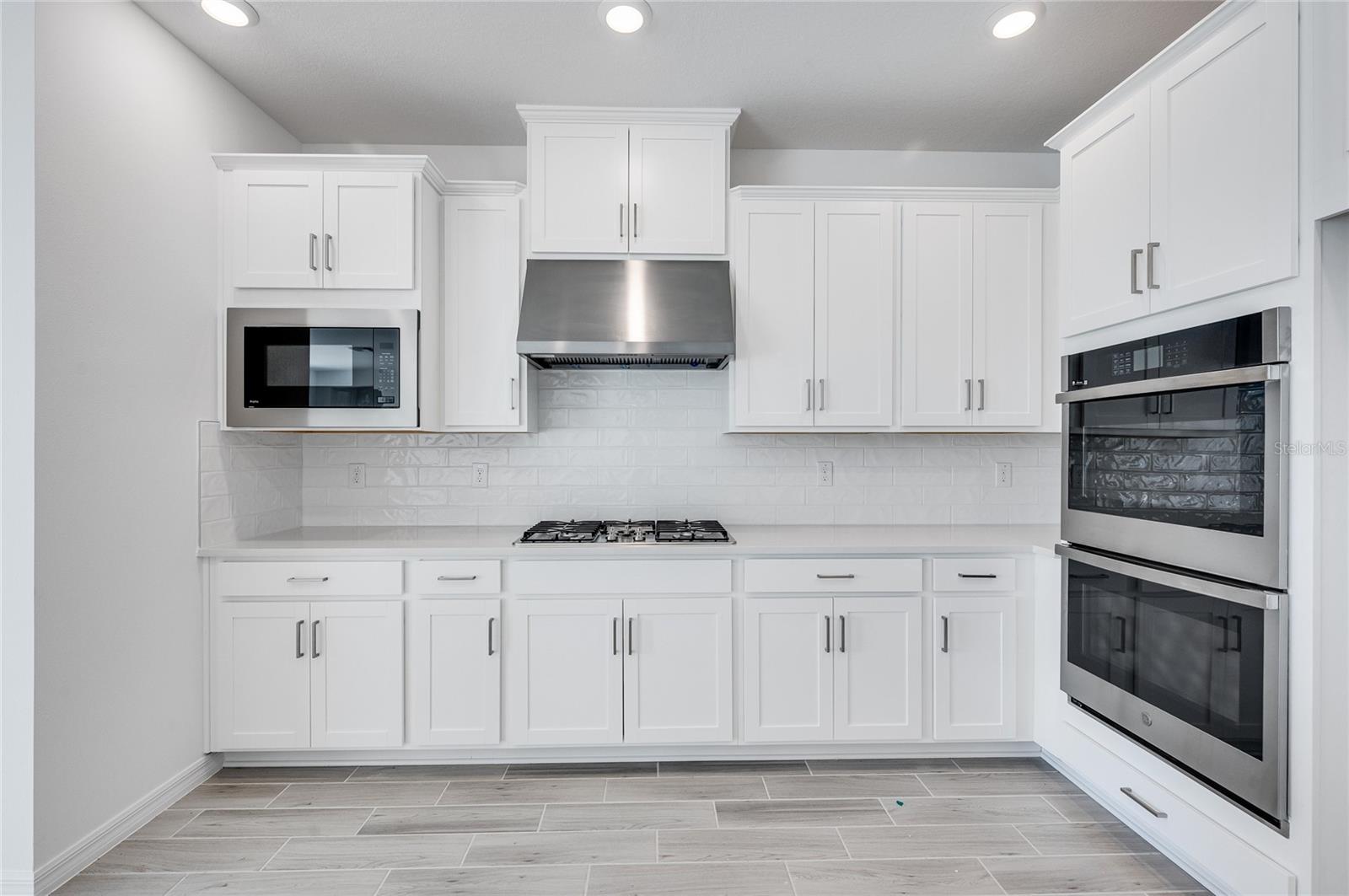 33696 SEAFARER LN, WESLEY CHAPEL, FL, 33543