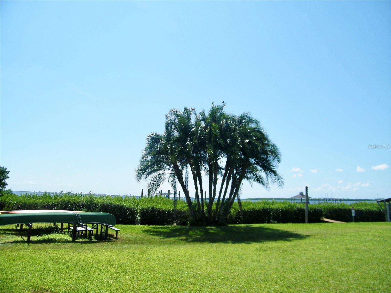 413 S BAYSHORE BLVD #1, SAFETY HARBOR, FL, 34695
