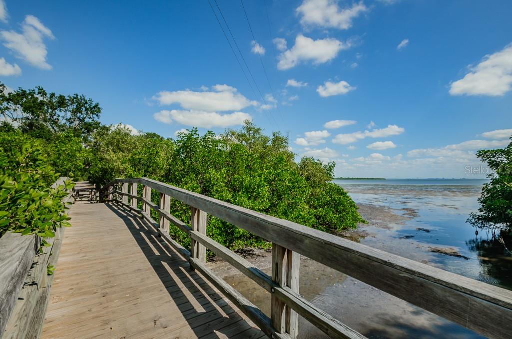 413 S BAYSHORE BLVD #1, SAFETY HARBOR, FL, 34695