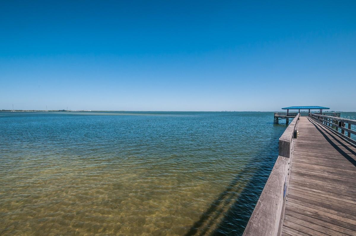 413 S BAYSHORE BLVD #1, SAFETY HARBOR, FL, 34695
