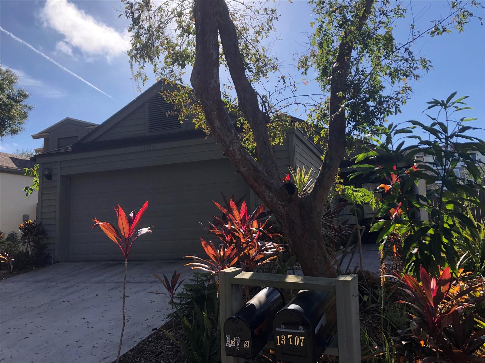 13709 LAZY OAK DR, TAMPA, FL, 33613