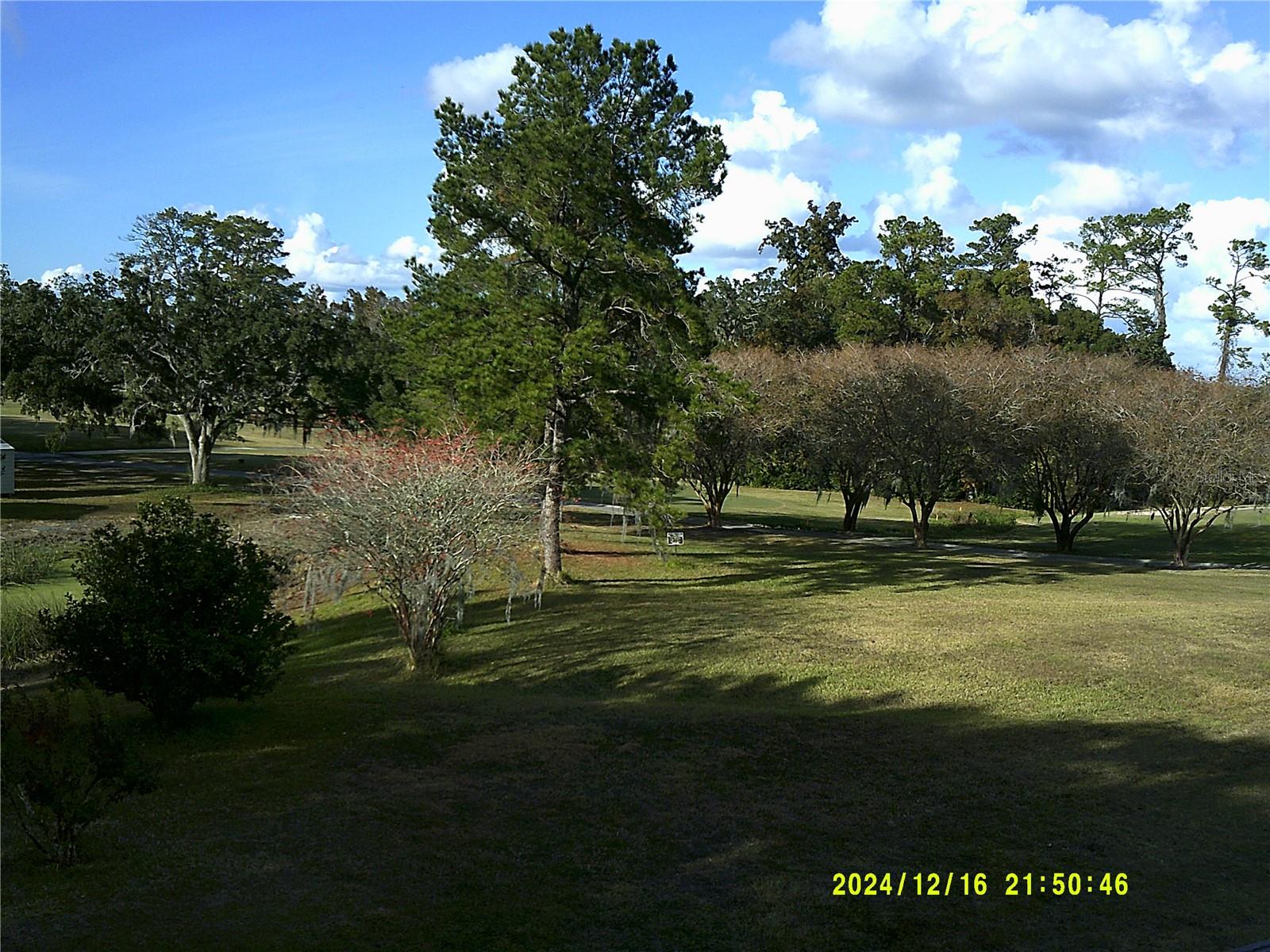 3401 E FORT KING ST #206, OCALA, FL, 34470