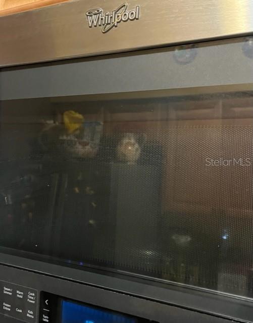 1910 E PALM AVE #10303, TAMPA, FL, 33605