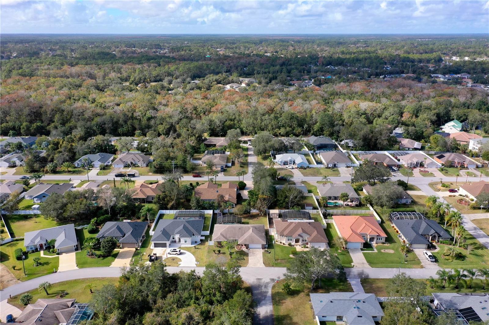 197 FRANKFORD LN, PALM COAST, FL, 32137
