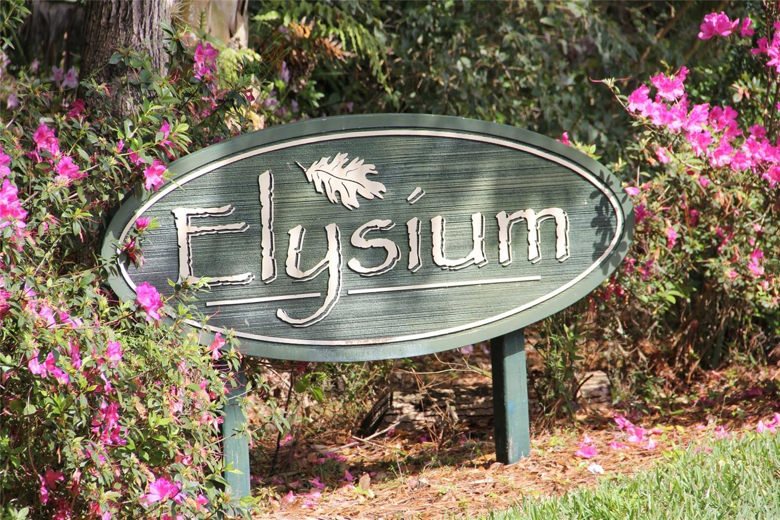 1029 ELYSIUM BLVD, MOUNT DORA, FL, 32757
