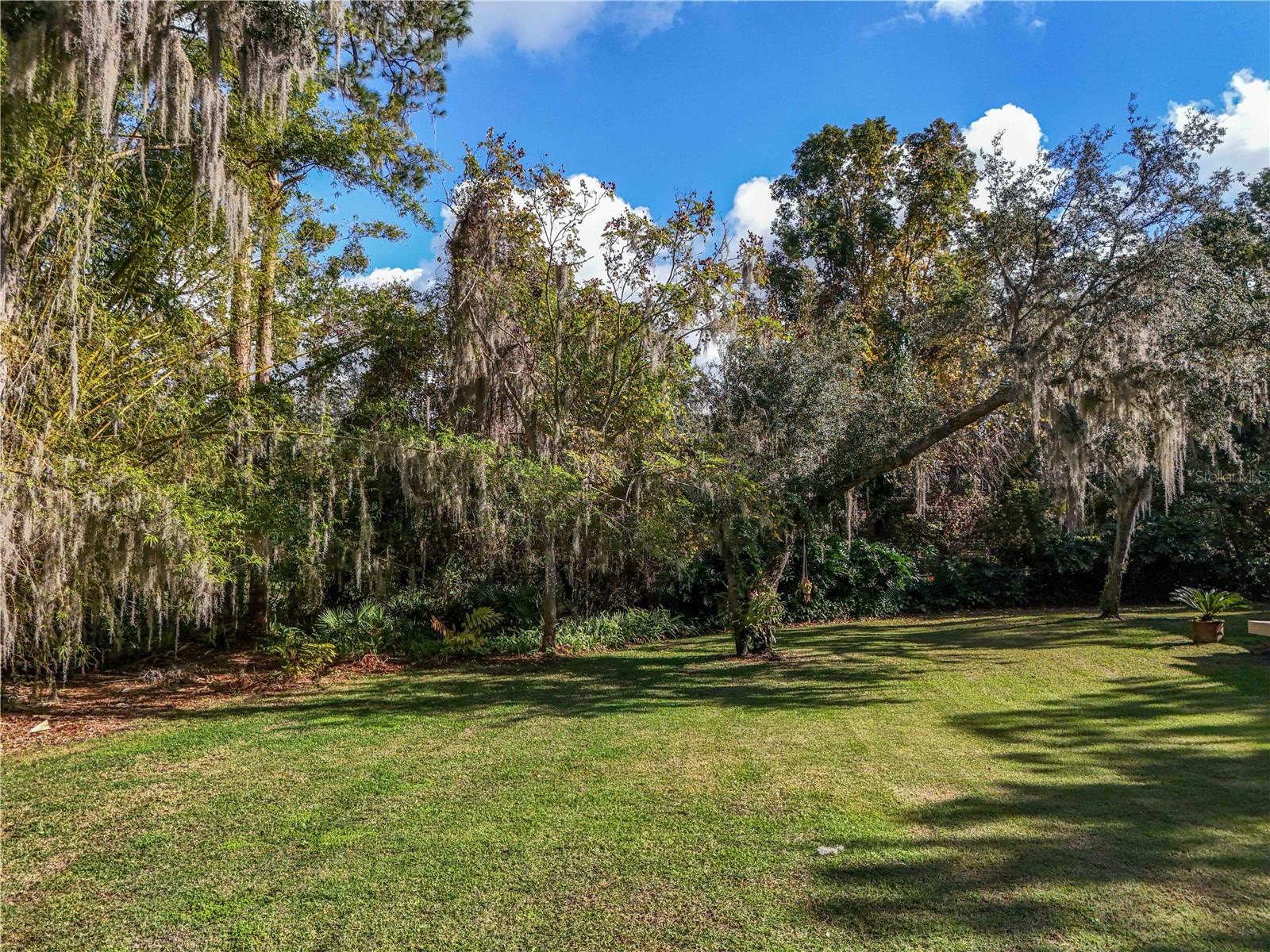 1029 ELYSIUM BLVD, MOUNT DORA, FL, 32757