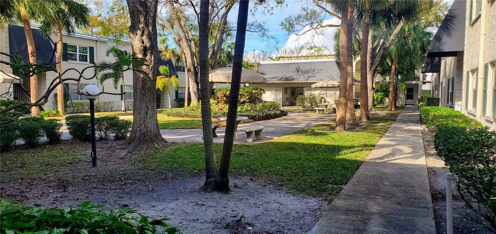 4315 AEGEAN DR #230C, TAMPA, FL, 33611