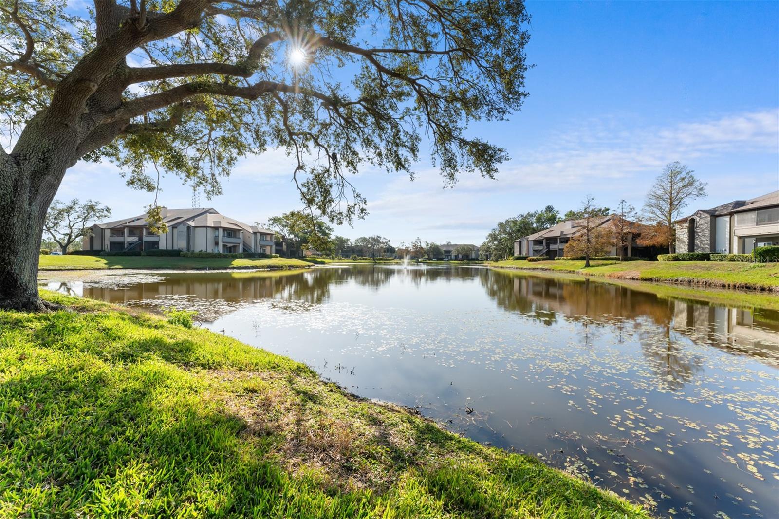 10265 GANDY BLVD N #808, ST PETERSBURG, FL, 33702