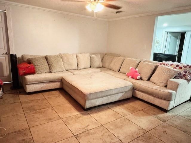 8823 W ROBSON ST, TAMPA, FL, 33615