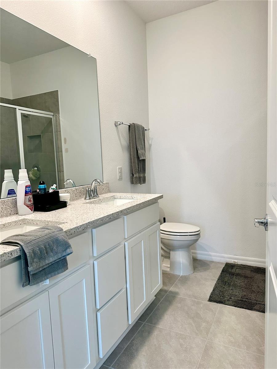 31398 ANCIENT SAGE RD, WESLEY CHAPEL, FL, 33545