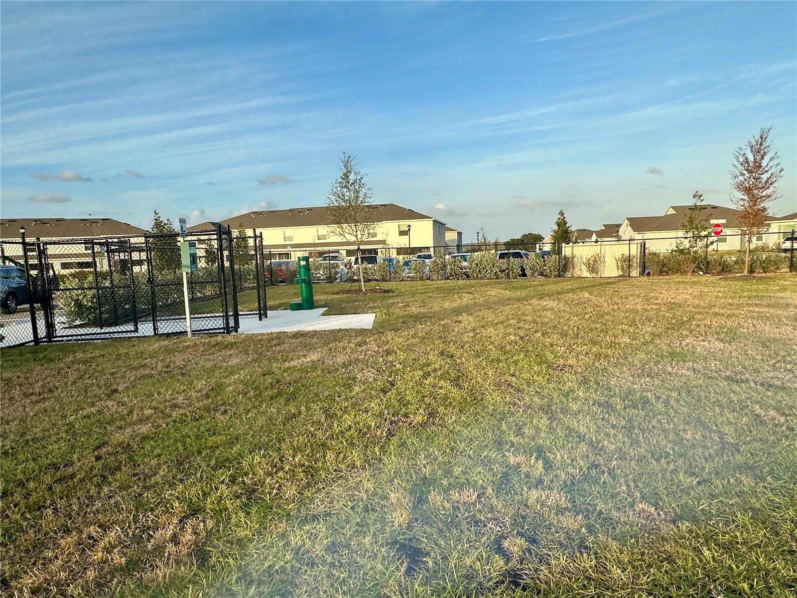 31398 ANCIENT SAGE RD, WESLEY CHAPEL, FL, 33545