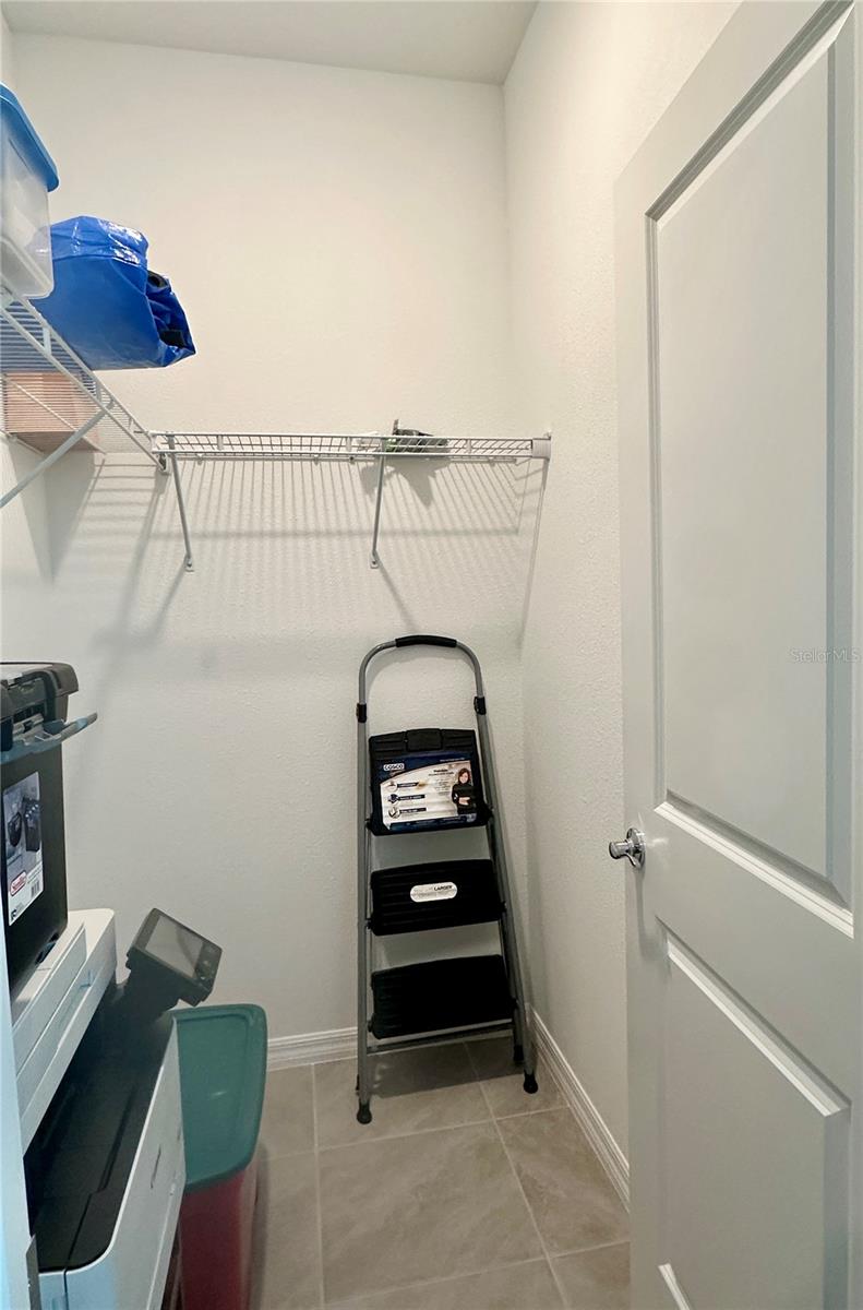 31398 ANCIENT SAGE RD, WESLEY CHAPEL, FL, 33545