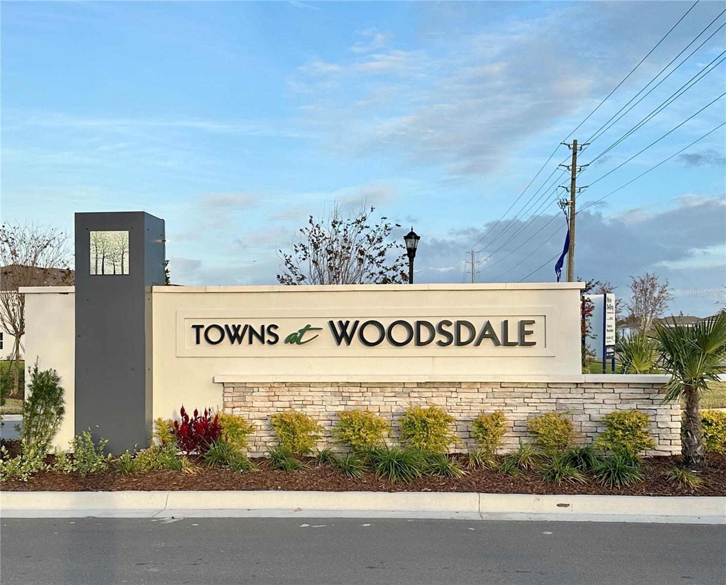 31398 ANCIENT SAGE RD, WESLEY CHAPEL, FL, 33545