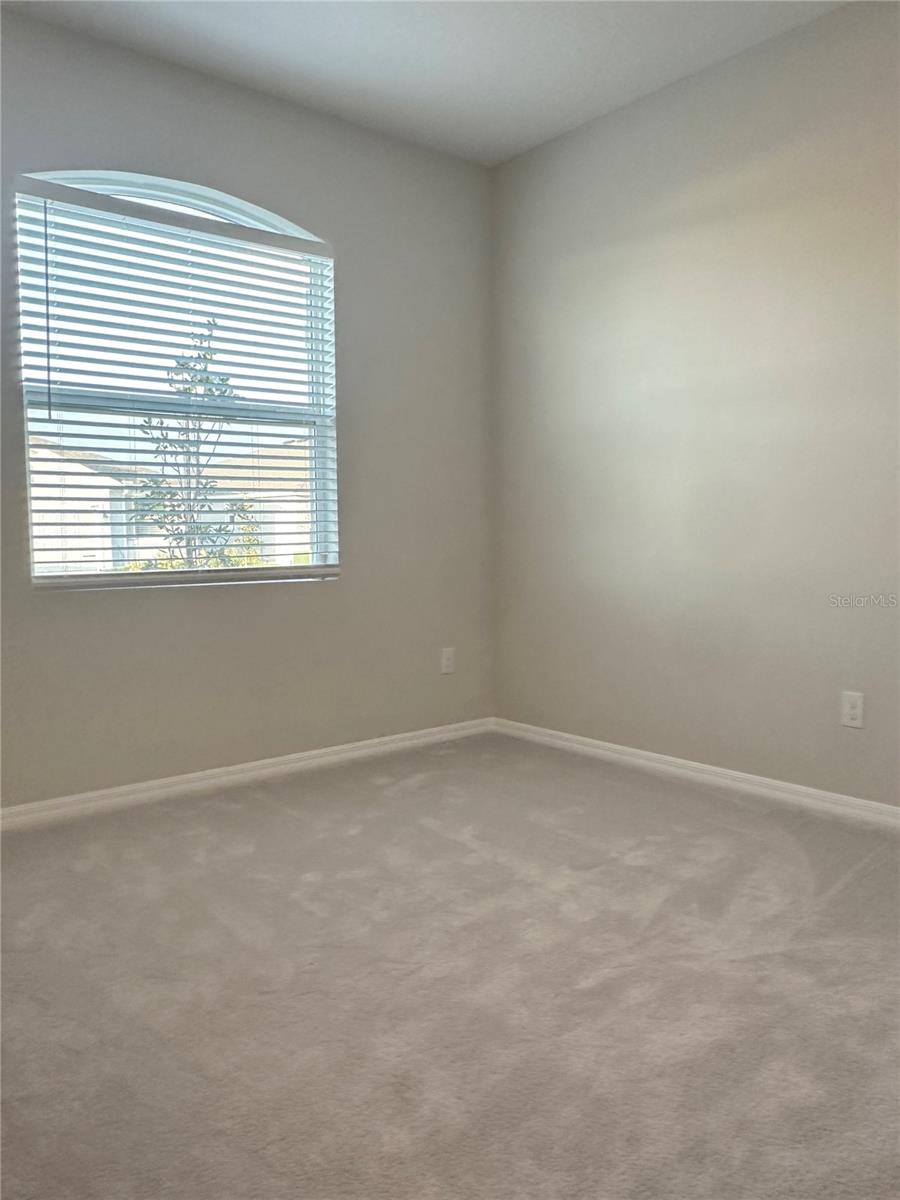 31398 ANCIENT SAGE RD, WESLEY CHAPEL, FL, 33545