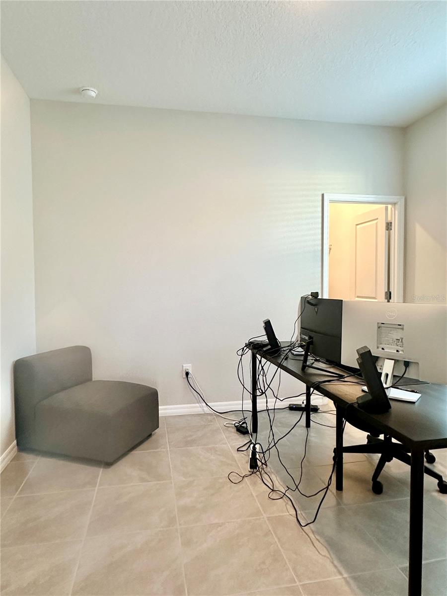 31398 ANCIENT SAGE RD, WESLEY CHAPEL, FL, 33545