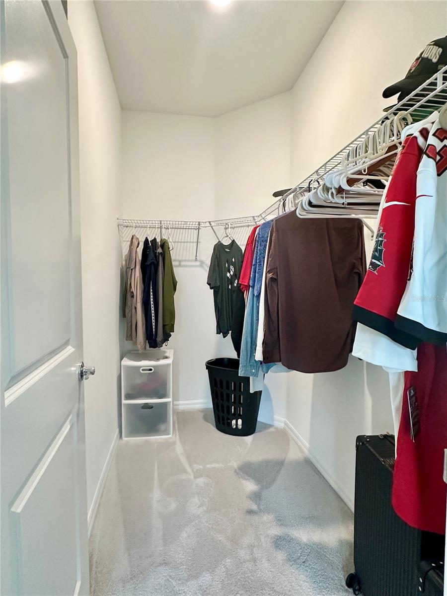 31398 ANCIENT SAGE RD, WESLEY CHAPEL, FL, 33545