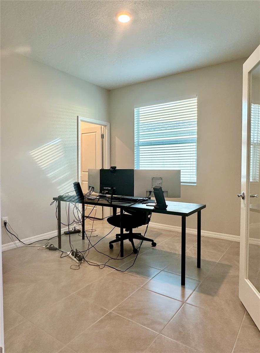 31398 ANCIENT SAGE RD, WESLEY CHAPEL, FL, 33545