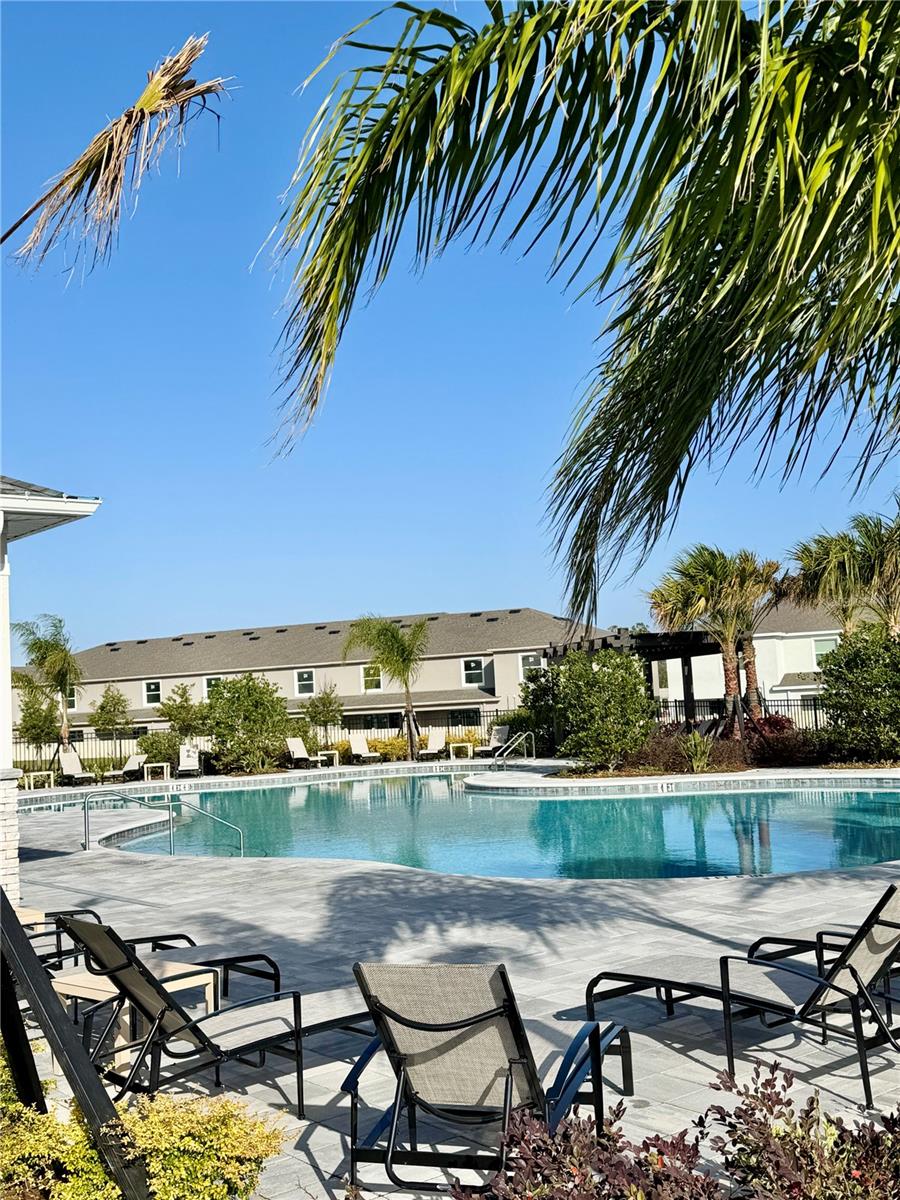 31398 ANCIENT SAGE RD, WESLEY CHAPEL, FL, 33545