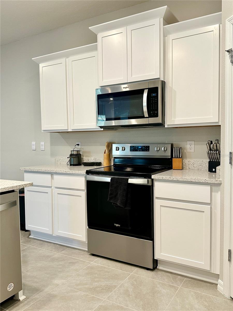 31398 ANCIENT SAGE RD, WESLEY CHAPEL, FL, 33545