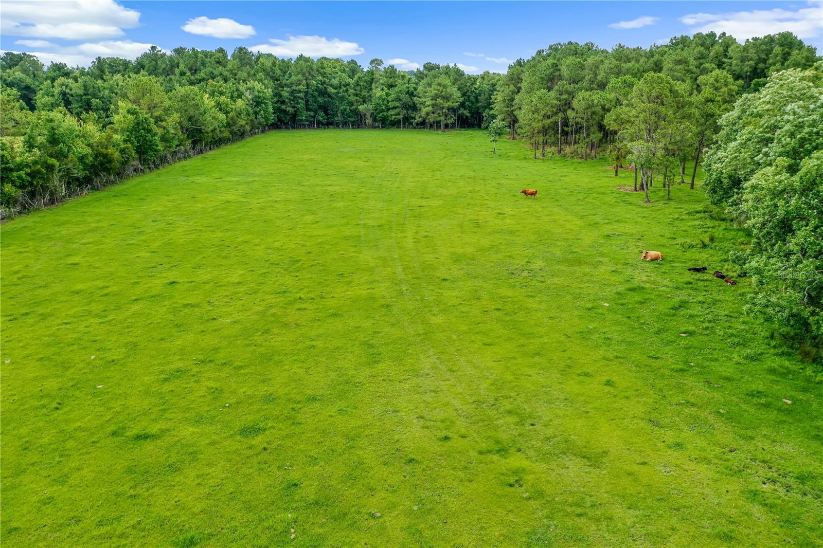 140 LITTLE BROWN CHURCH RD, PIERSON, FL, 32180