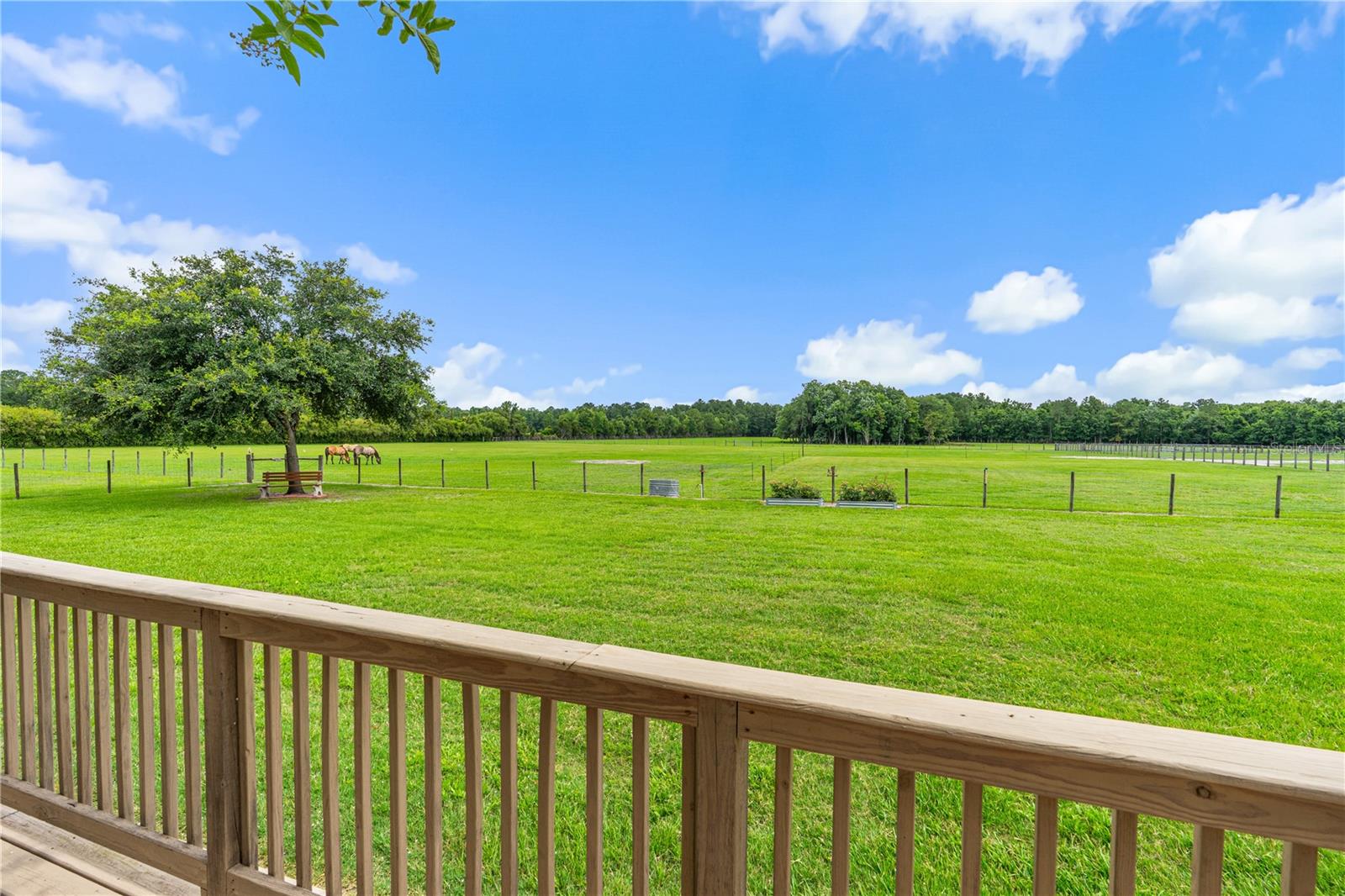 140 LITTLE BROWN CHURCH RD, PIERSON, FL, 32180