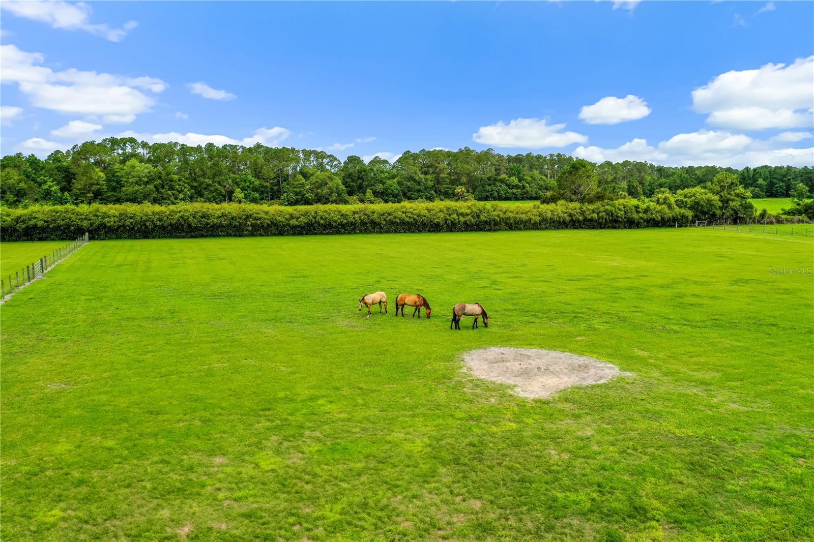 140 LITTLE BROWN CHURCH RD, PIERSON, FL, 32180
