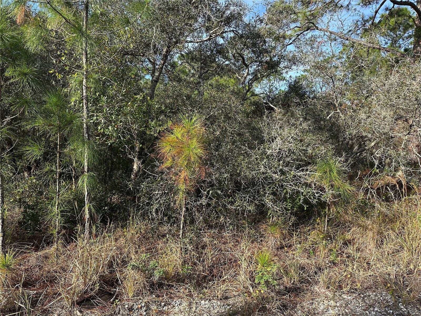 212 FASCINATION DR, LAKE PLACID, FL, 33852