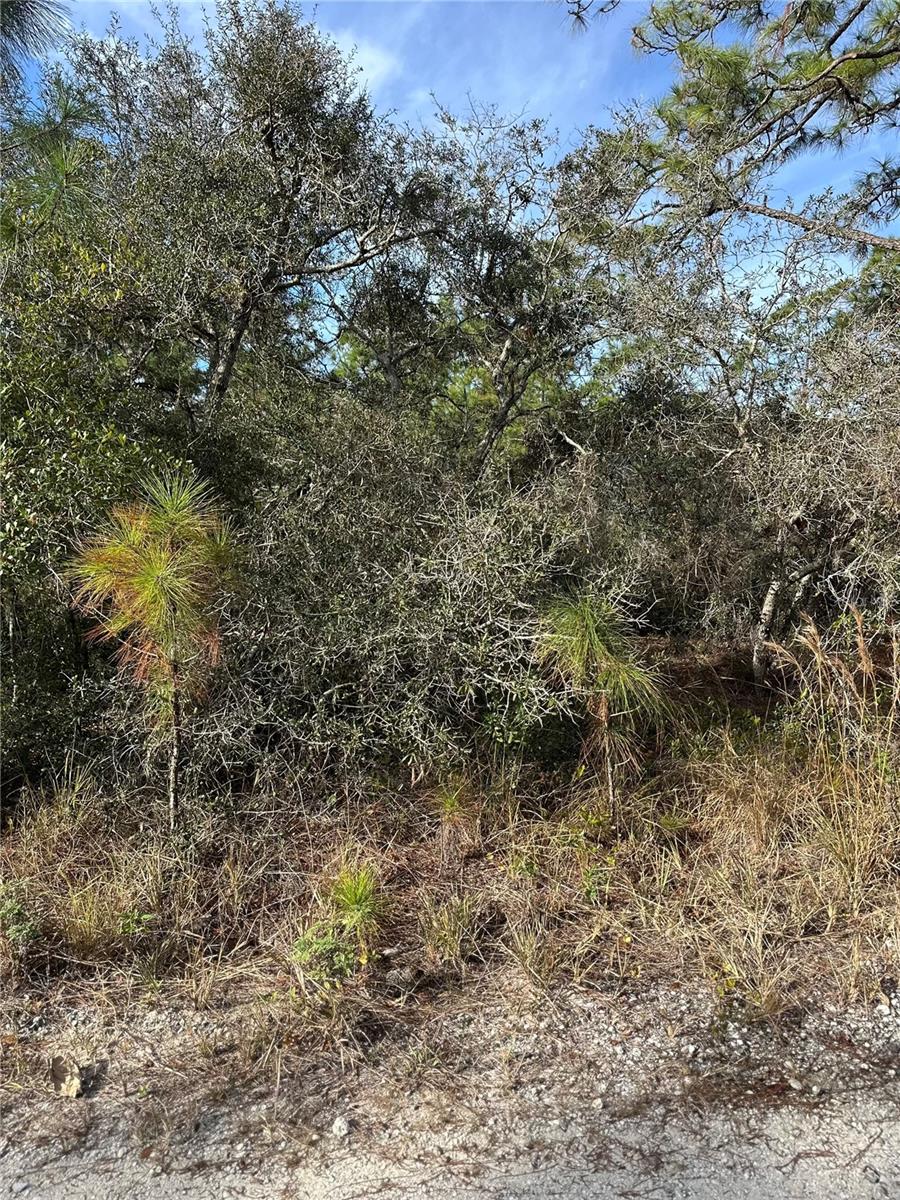 212 FASCINATION DR, LAKE PLACID, FL, 33852