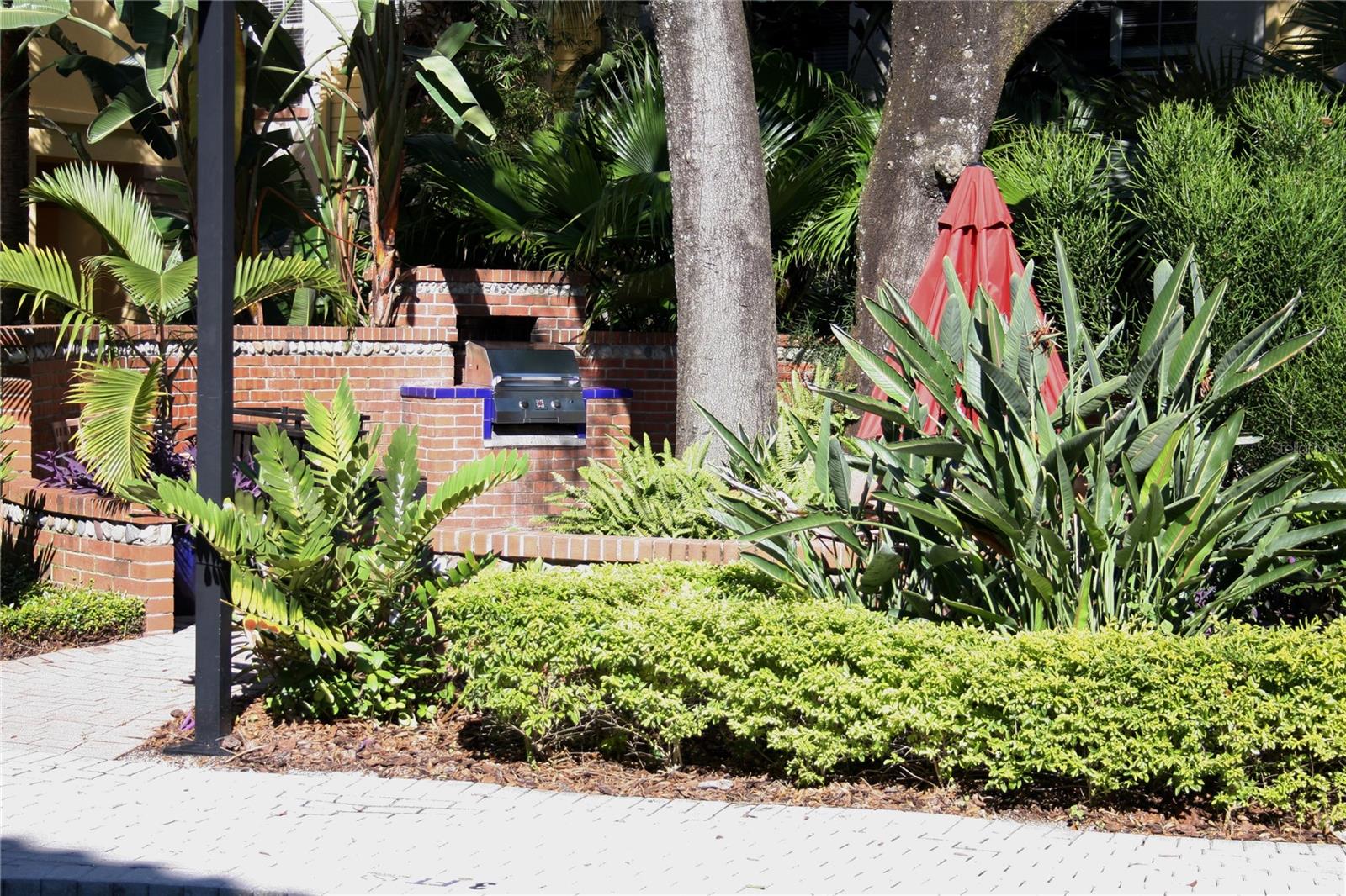 504 S ARMENIA AVE #1323, TAMPA, FL, 33609
