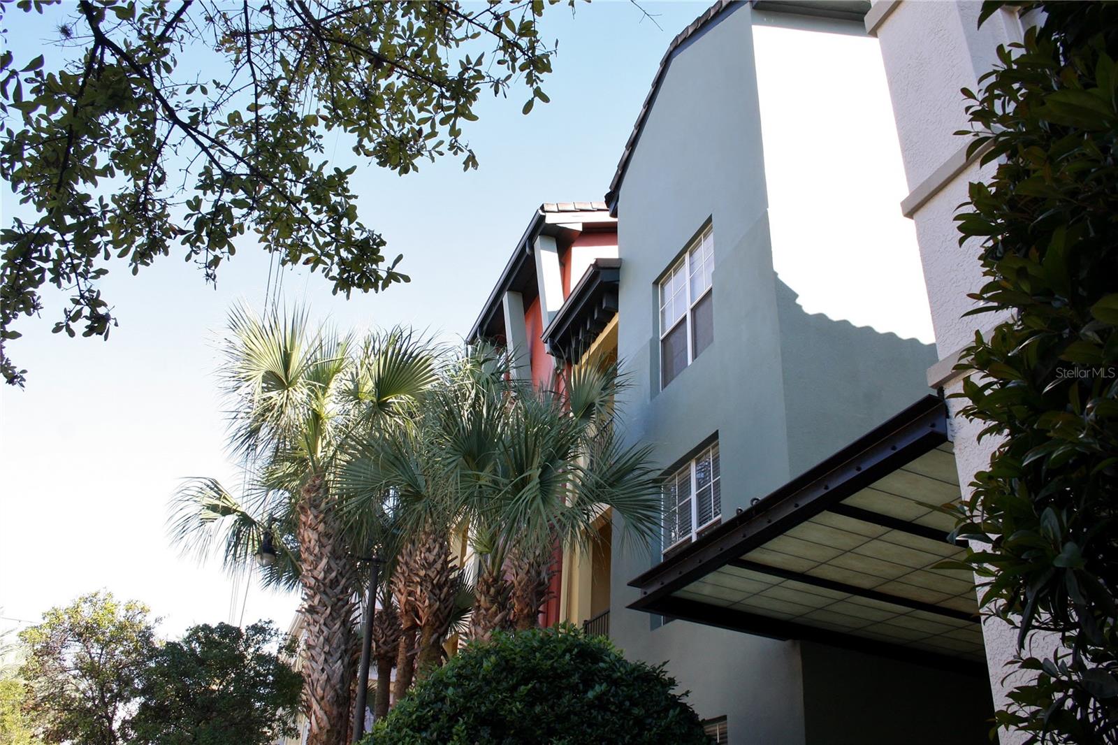 504 S ARMENIA AVE #1323, TAMPA, FL, 33609