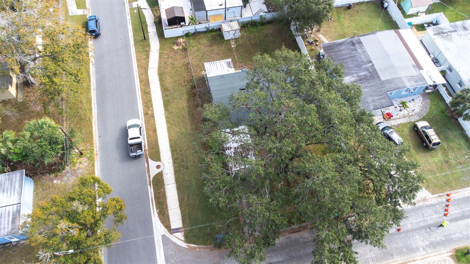 6019 N CLARK AVE, TAMPA, FL, 33614