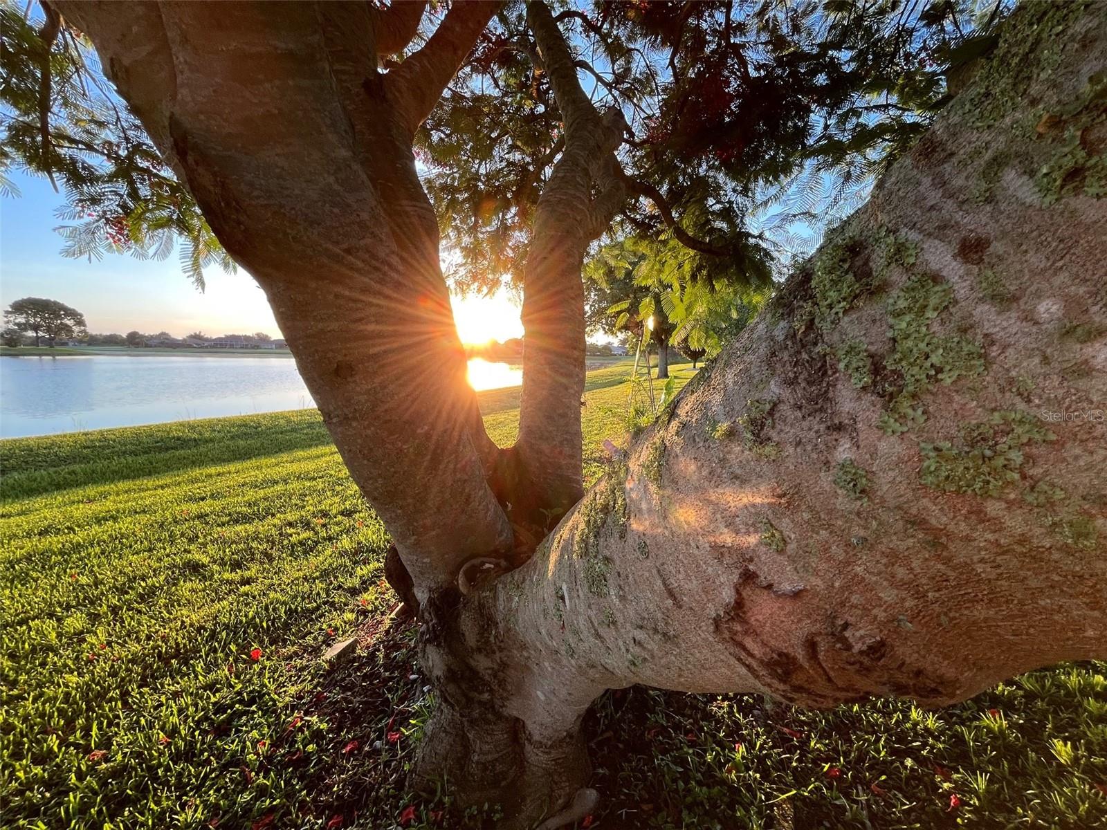 2765 MAURITANIA RD, PUNTA GORDA, FL, 33983