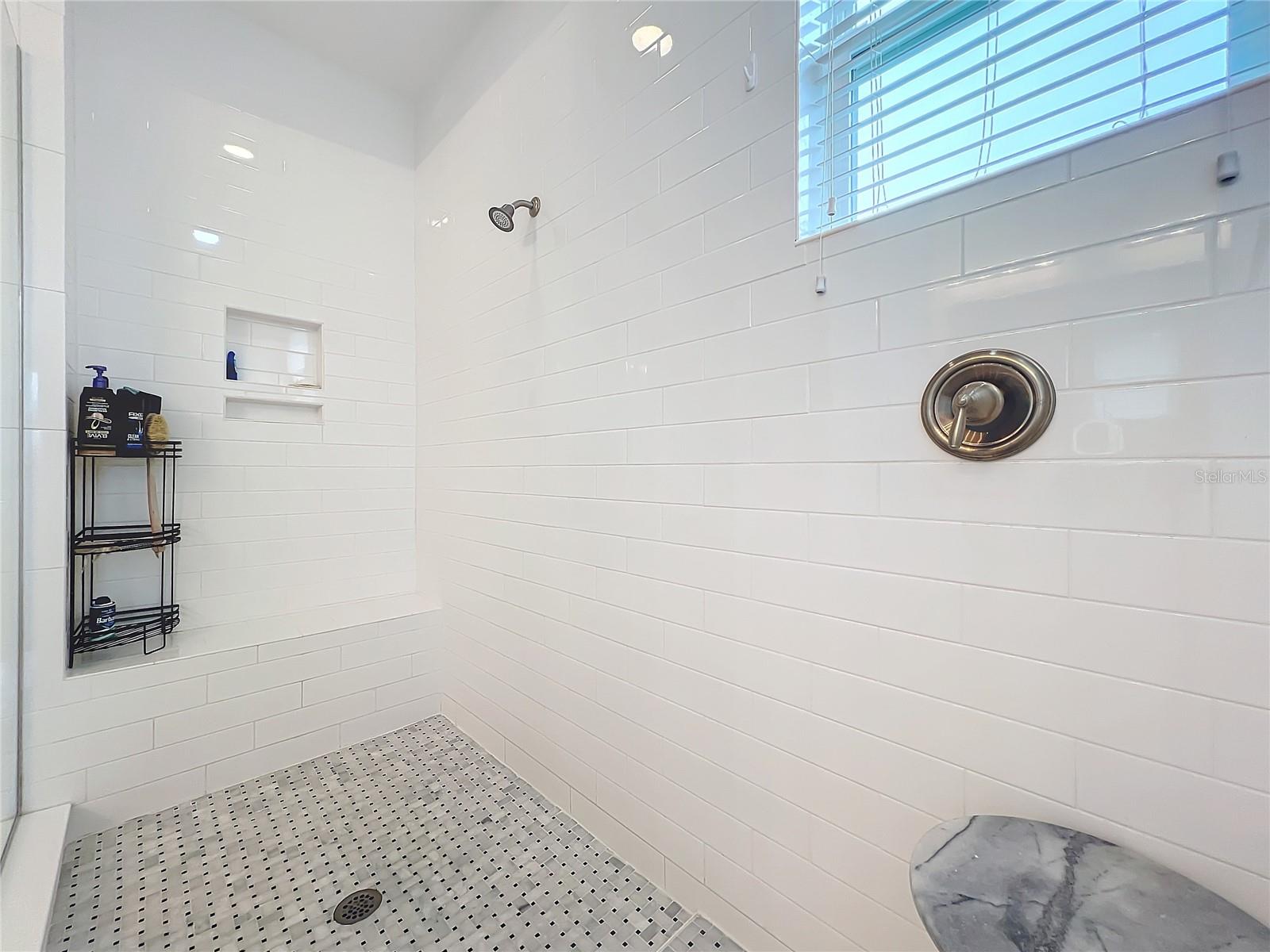 2834 BIGLEAF MAPLE DR, OCOEE, FL, 34761