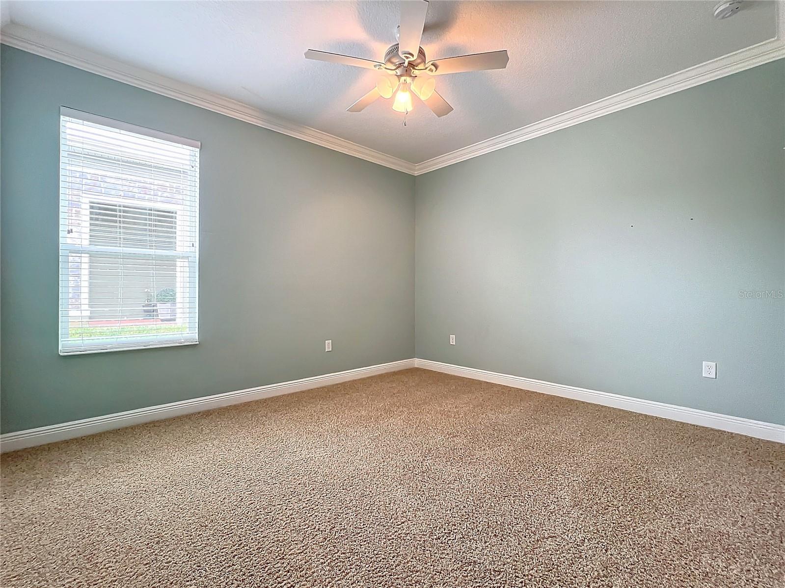 2834 BIGLEAF MAPLE DR, OCOEE, FL, 34761